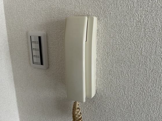 ルーテシア大野