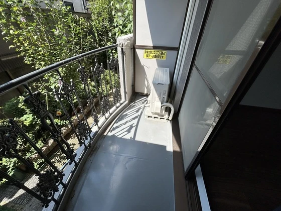 ルーテシア大野