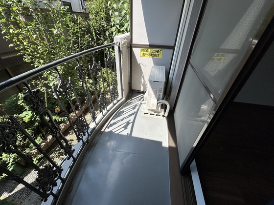 ルーテシア大野