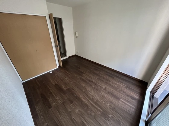 ルーテシア大野