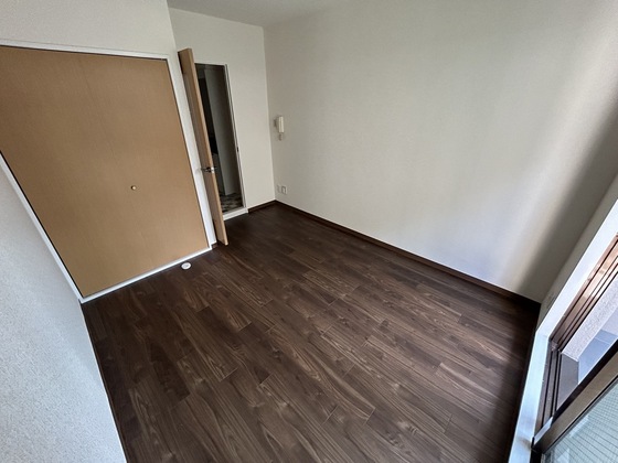 ルーテシア大野