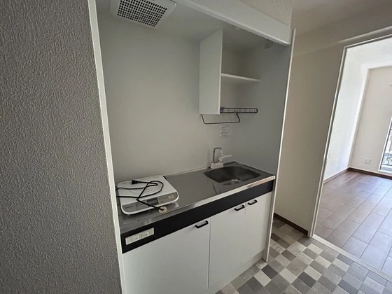 ルーテシア大野