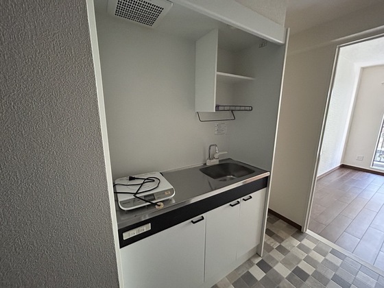 ルーテシア大野