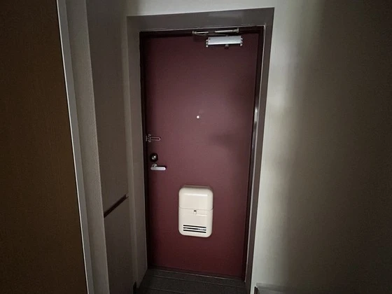 ルーテシア大野