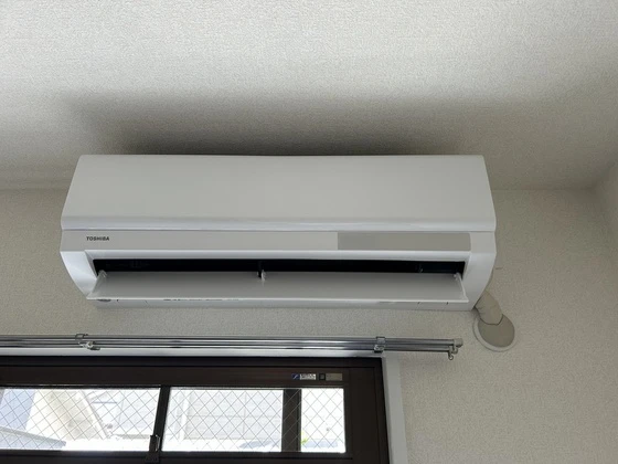 ルーテシア大野