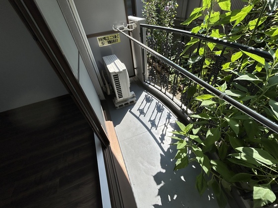 ルーテシア大野