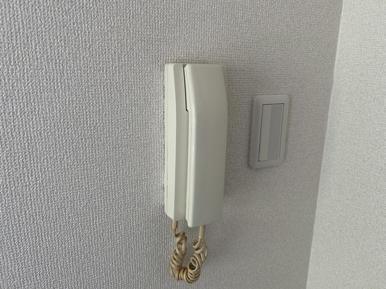 ルーテシア大野