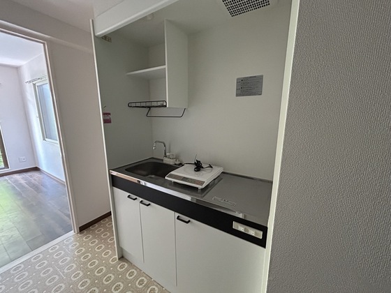 ルーテシア大野