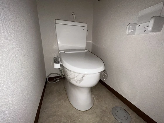 ルーテシア大野