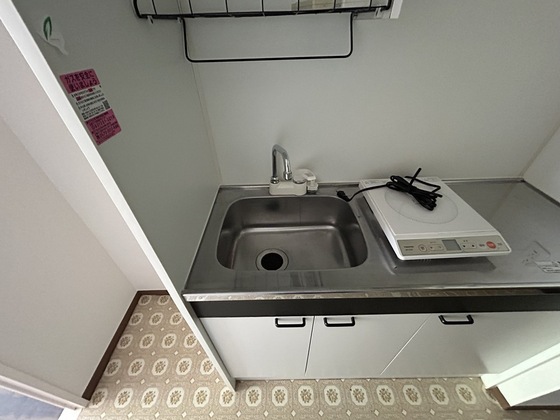 ルーテシア大野