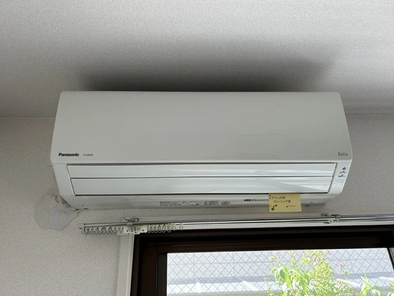 ルーテシア大野