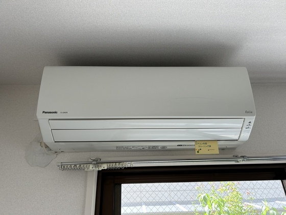 ルーテシア大野