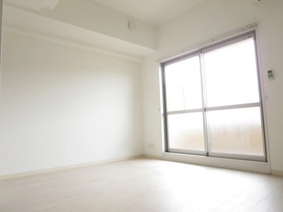 アネシスデュオ