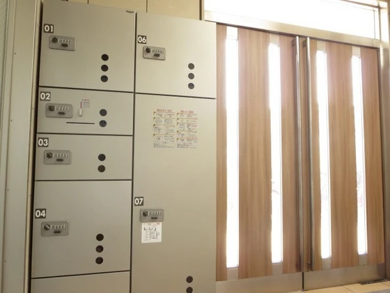 アネシスデュオ