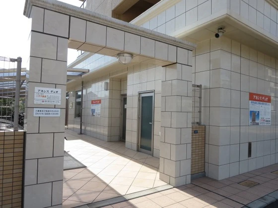 アネシスデュオ