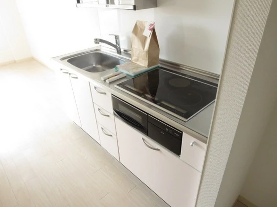 アネシスデュオ