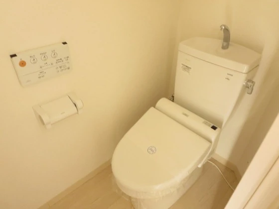 アネシスデュオ