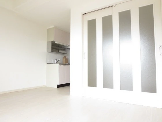 アネシスデュオ