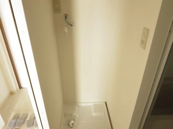 アネシスデュオ