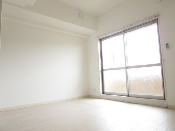 アネシスデュオ