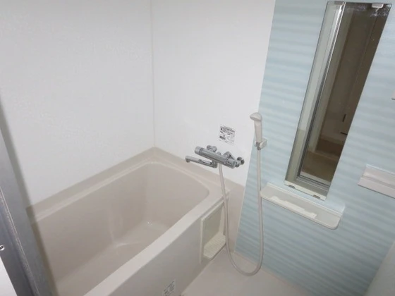 アネシスデュオ