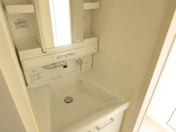 アネシスデュオ