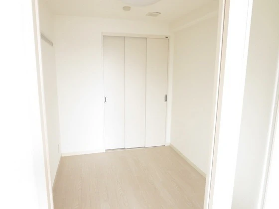 アネシスデュオ