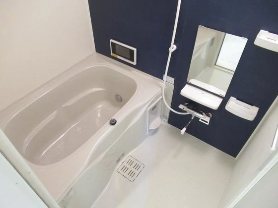 ディアコート L