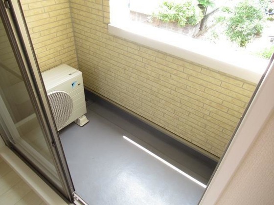 ディアコート L