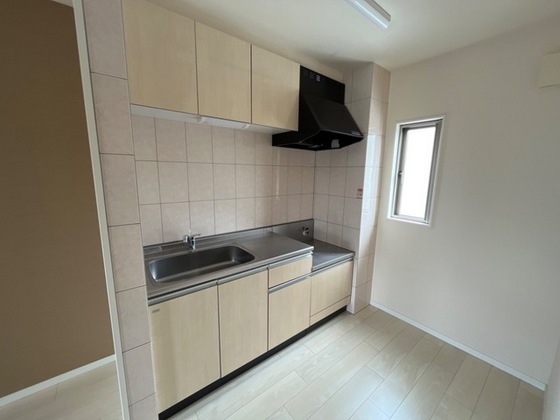 ディアコート L