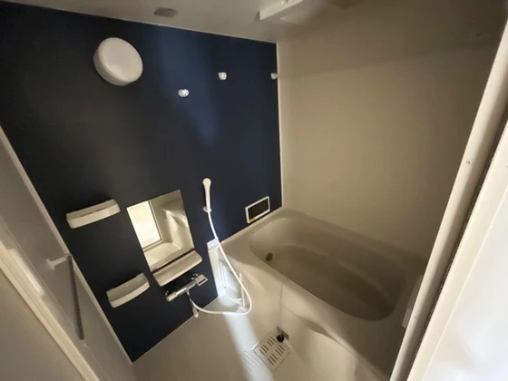 ディアコート L