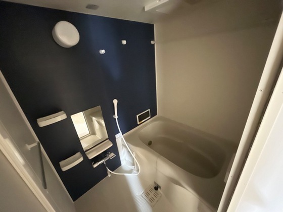 ディアコート L