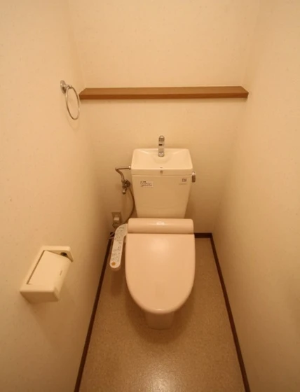 ベルカント辰巳