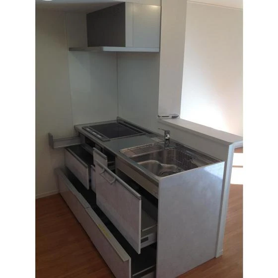 ウィズ・アネシス