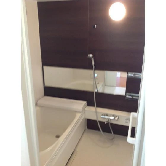 ウィズ・アネシス