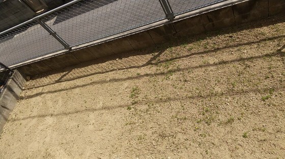 コーポセジュール B棟