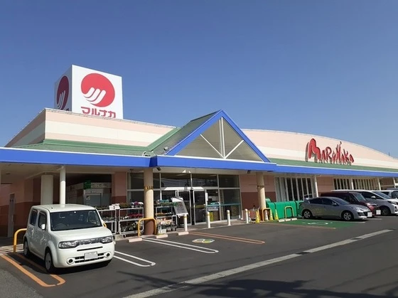 ホワイトリリーB