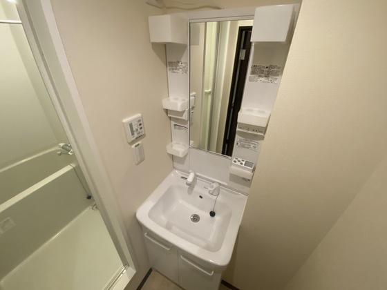 レオネクストS&K