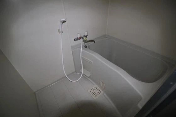 ロイヤルレピュート東島田