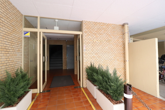 サンシャイン29