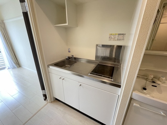 レオネクストファンシー