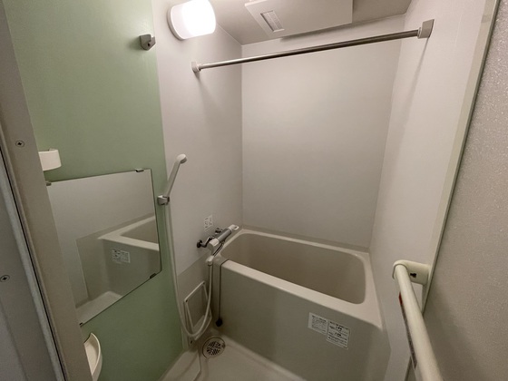 レオネクストファンシー