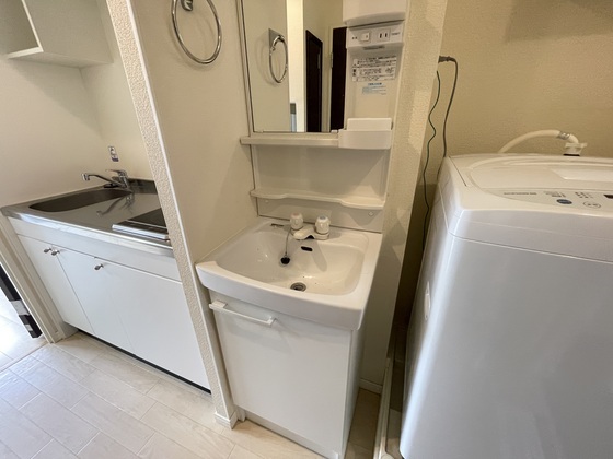 レオネクストファンシー