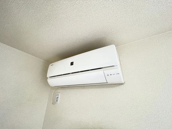 レオネクストファンシー