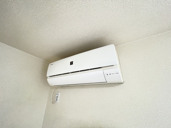 レオネクストファンシー