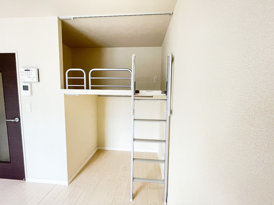 レオネクストファンシー