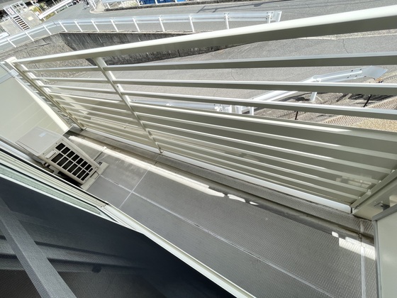 レオネクストファンシー