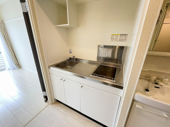 レオネクストファンシー