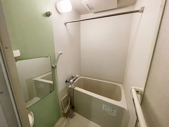 レオネクストファンシー