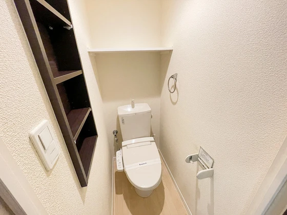 レオネクストファンシー